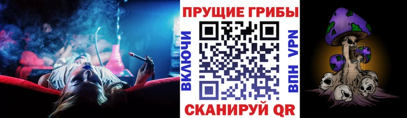 Псилоцибиновые грибы Psilocybine cubensis  Усть-Кут 